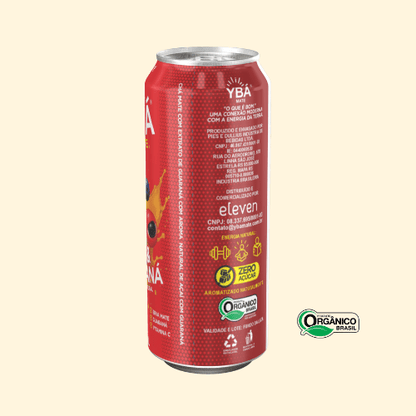 AÇAI E GUARANÁ - YBÁ MATE