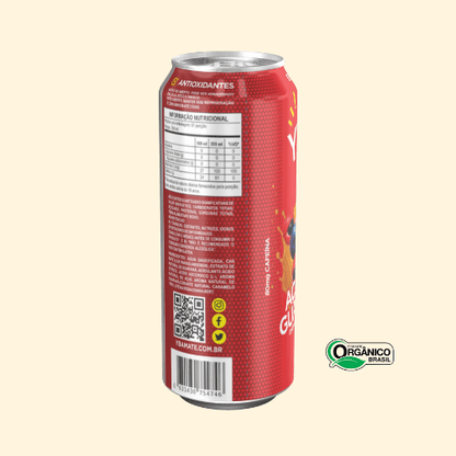 AÇAI E GUARANÁ - YBÁ MATE